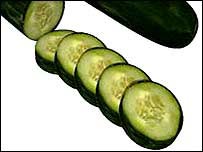 Cucumber.